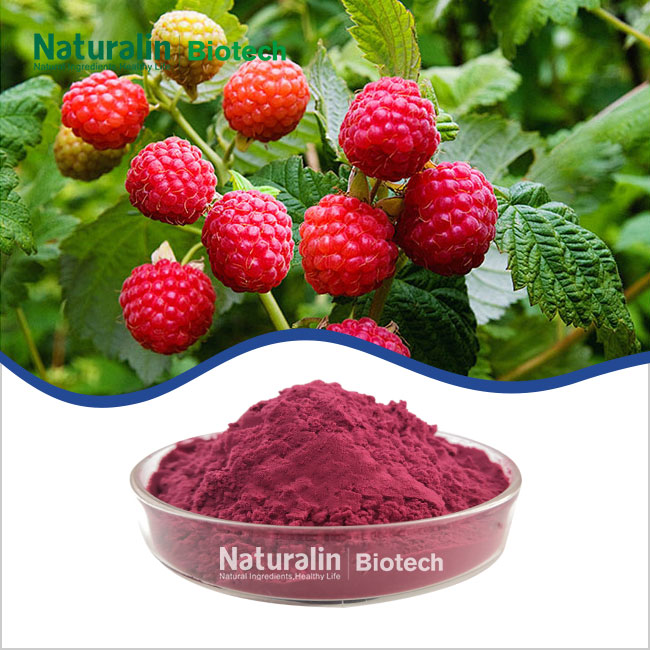 Raspberry Powder Raspberry Powder